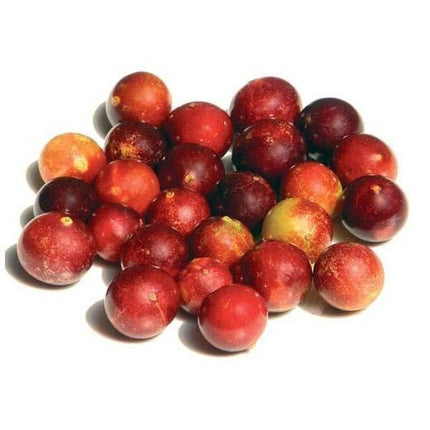 Camu Camu Poeder 100gr – Rijk aan Natuurlijke Vitamine C - Superfoodshop - SuperfoodShop