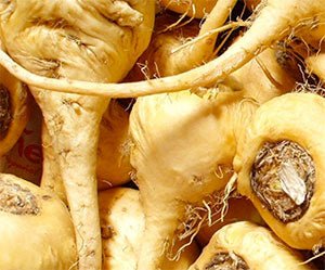 Organic Maca X - 6 Powder - Superfoodshop - SuperfoodShop