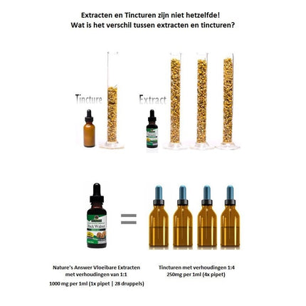 Dong Quai Extract – Alcoholvrij Vloeibaar Kruidenextract (1000 mg per dosering) - Nature's Answer - SuperfoodShop